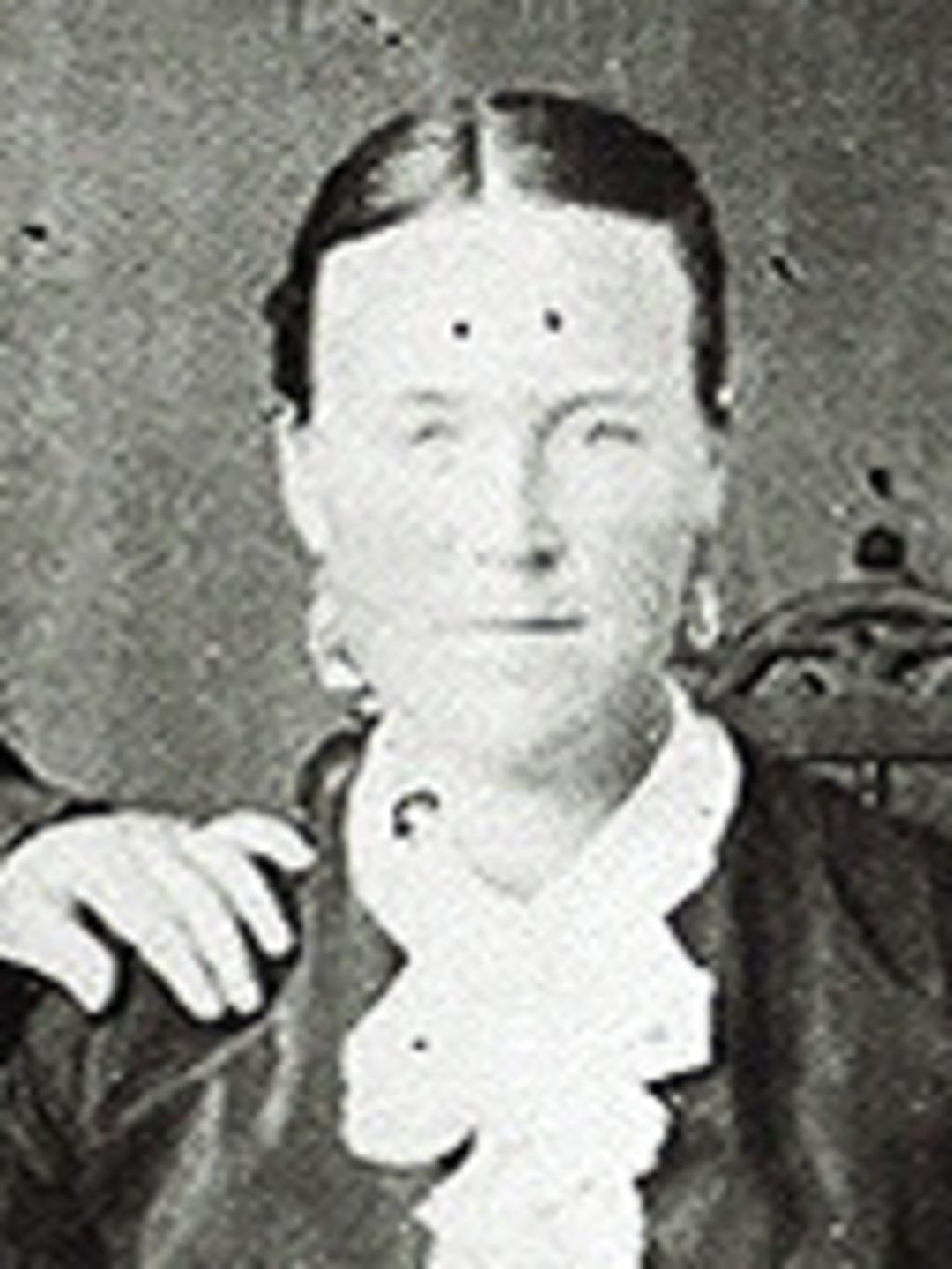 Catherine Judd (1854 - 1926) Profile